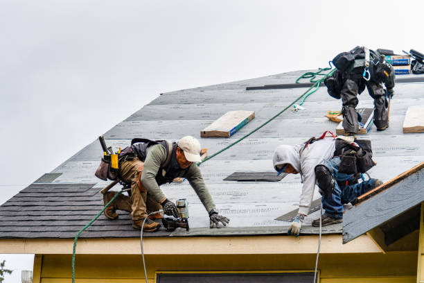 Professional Gutter Installation technician working in Dexter, MI